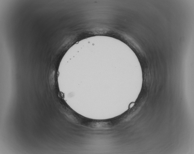 X0000111450501200908101037