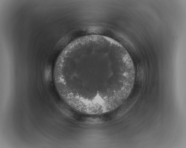 X0000111450502200908101037