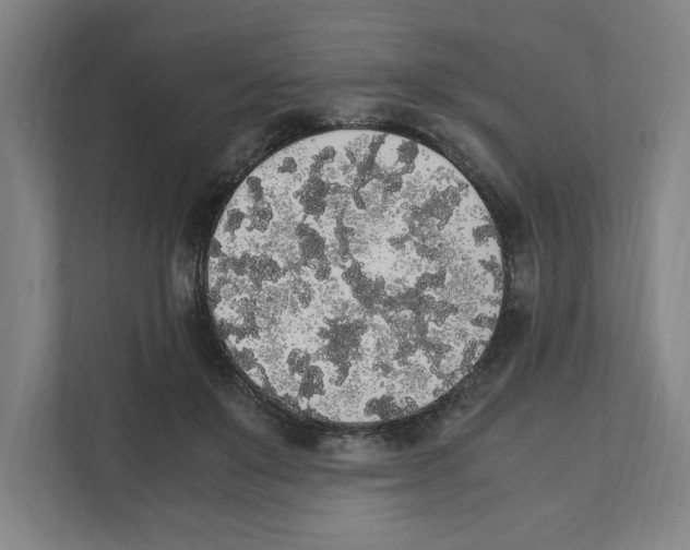 X0000111450503200908101037