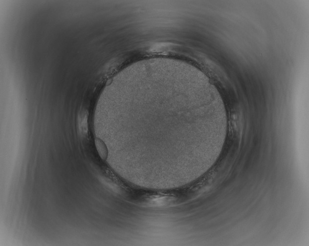 X0000111450504200908101037