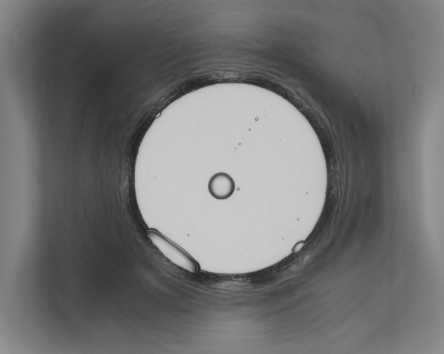 X0000111450505200908101037