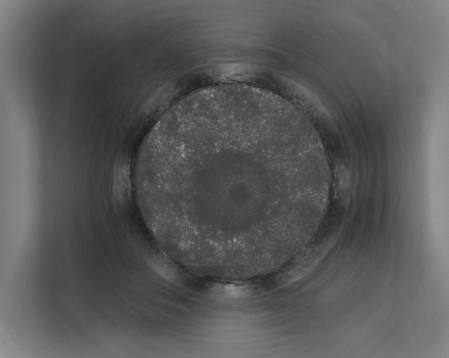 X0000111450506200908101037