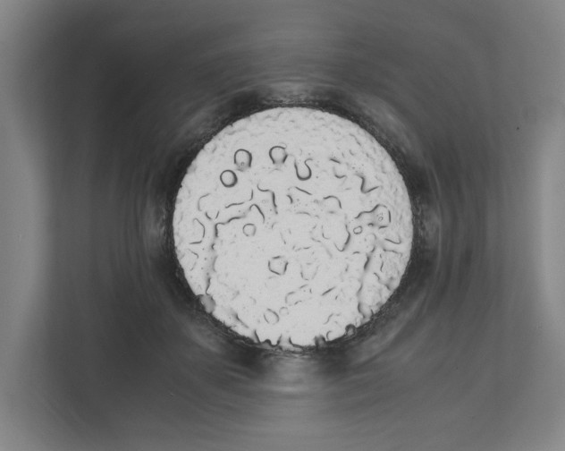 X0000111450507200908101037
