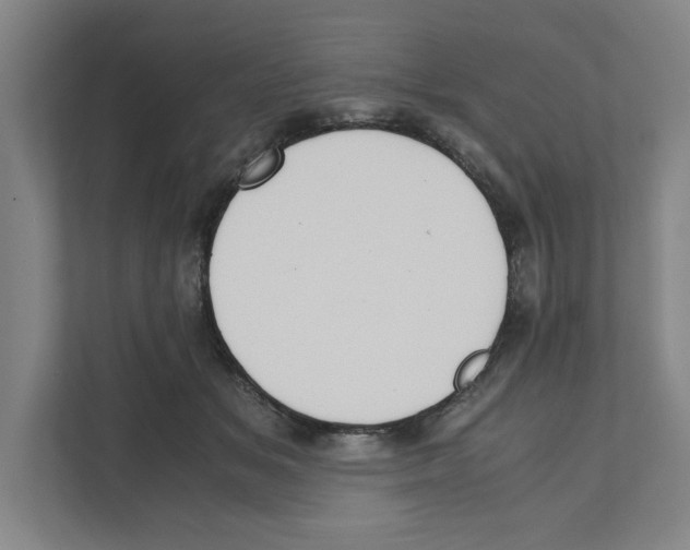 X0000111450509200908101037