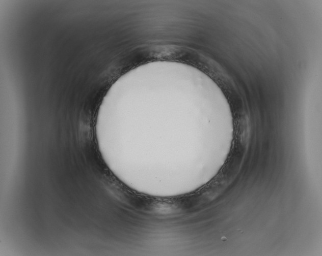 X0000111450510200908101037