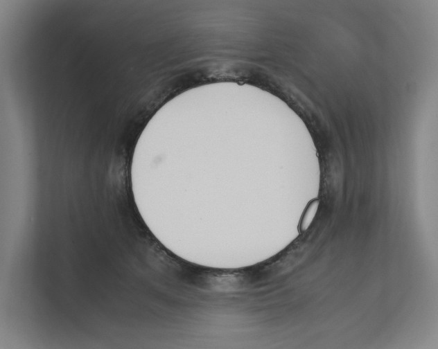 X0000111450513200908101037