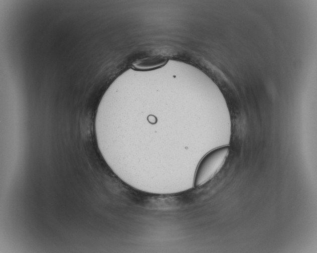 X0000111450517200908101037