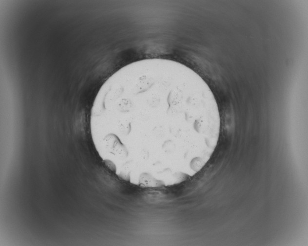 X0000111450519200908101037