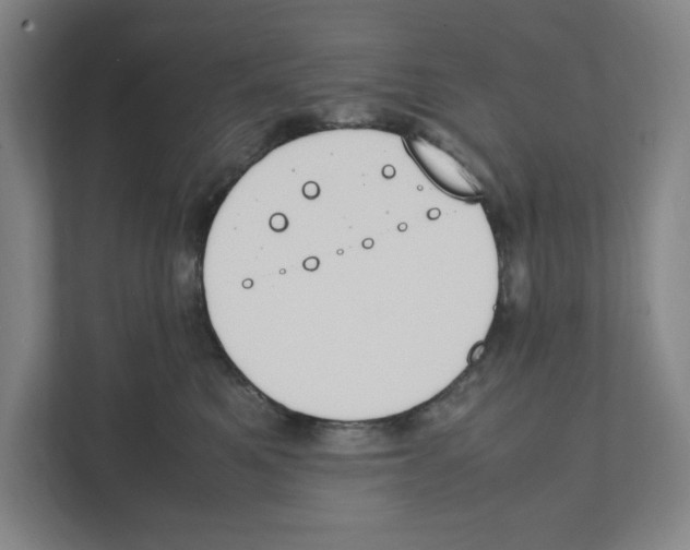 X0000111450521200908101037