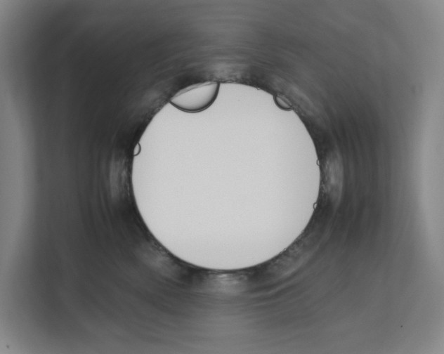 X0000111450522200908101037