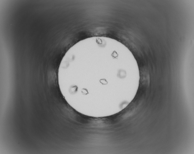 X0000111450523200908101037