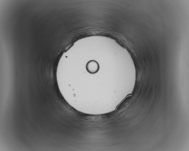 X0000111450524200908101037