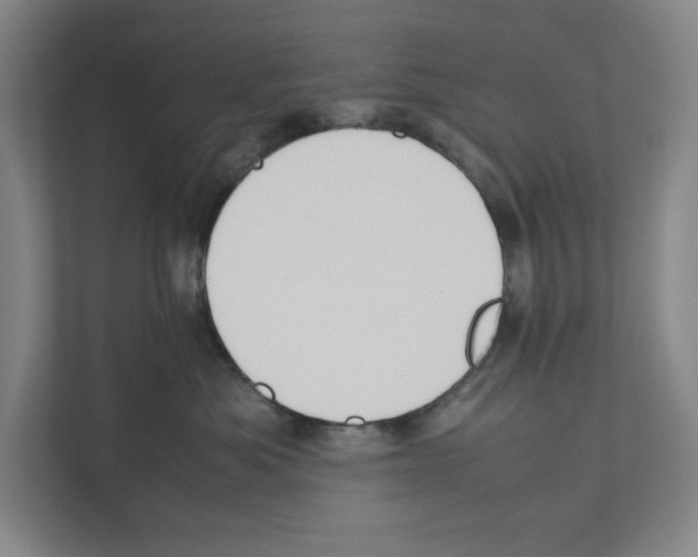 X0000111450525200908101037