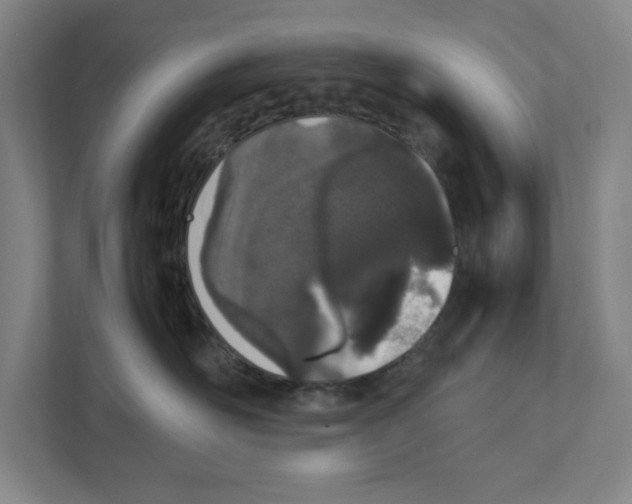 X0000111450526200908101037