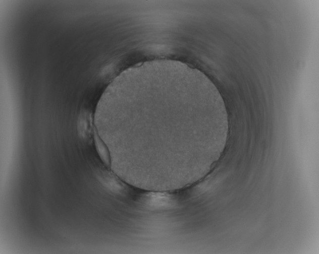 X0000111450528200908101037