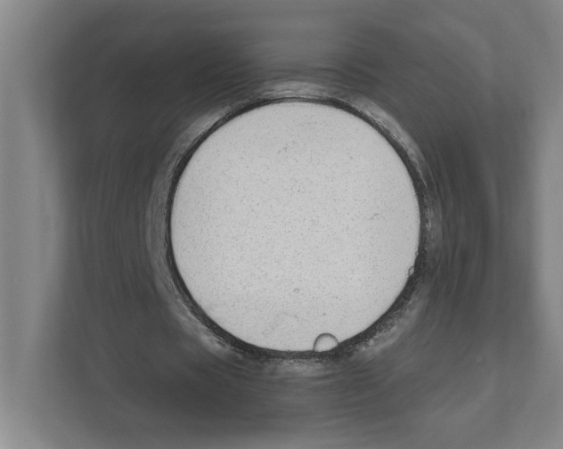 X0000111450529200908101036