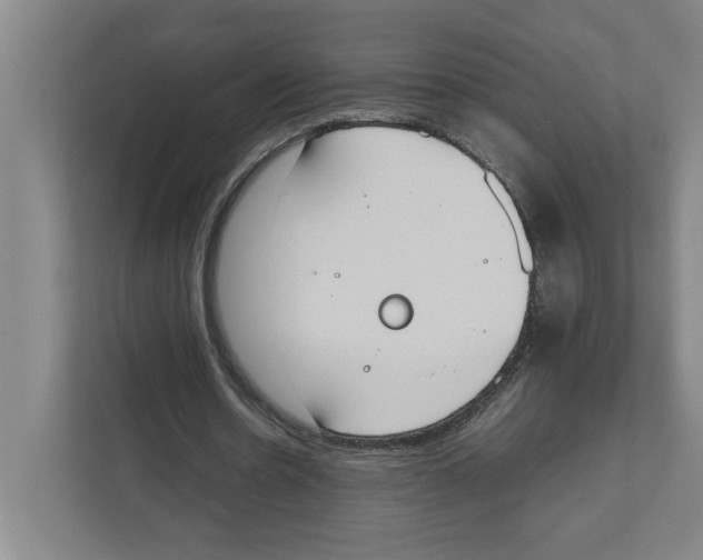 X0000111450530200908101036