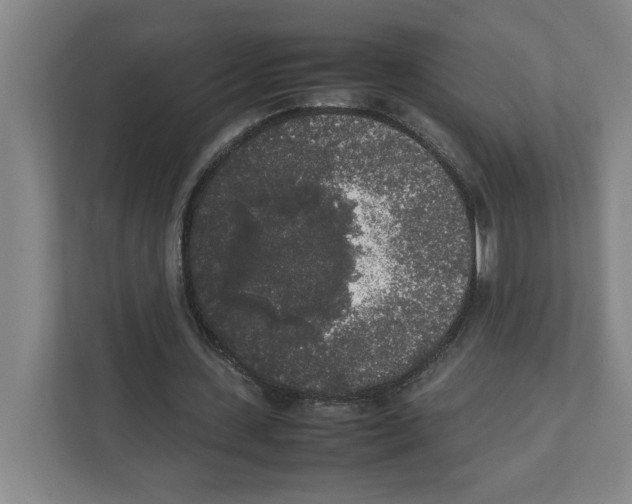 X0000111450531200908101036