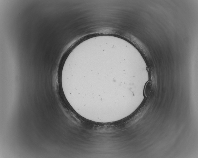 X0000111450532200908101036