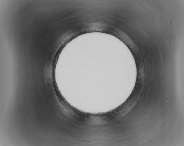 X0000111450534200908101036