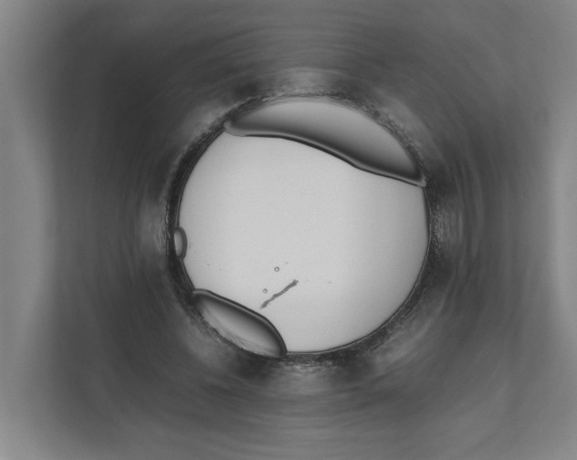 X0000111450540200908101036