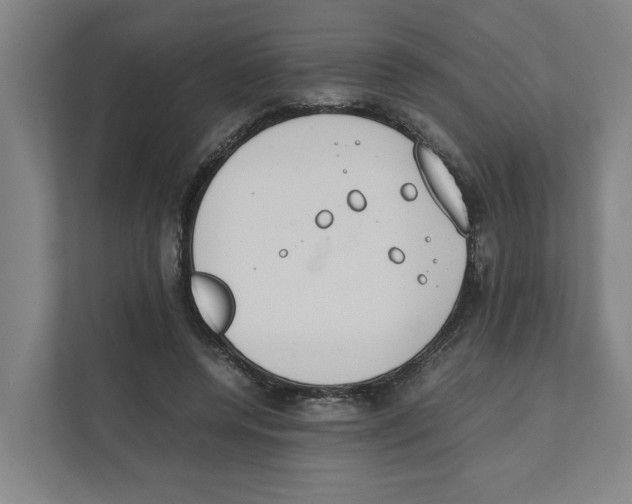 X0000111450544200908101036