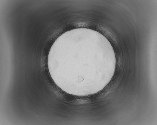 X0000111450545200908101036