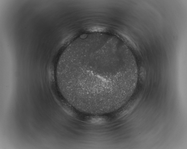 X0000111450547200908101036