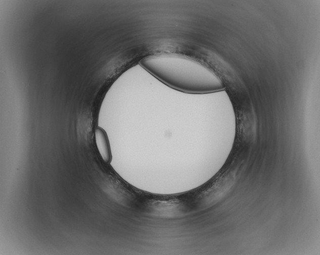 X0000111450548200908101036