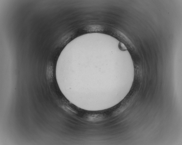 X0000111450549200908101036