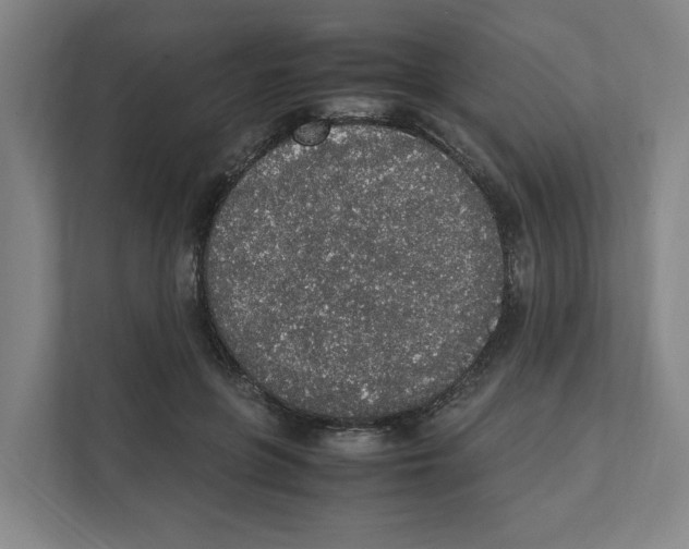 X0000111450551200908101036