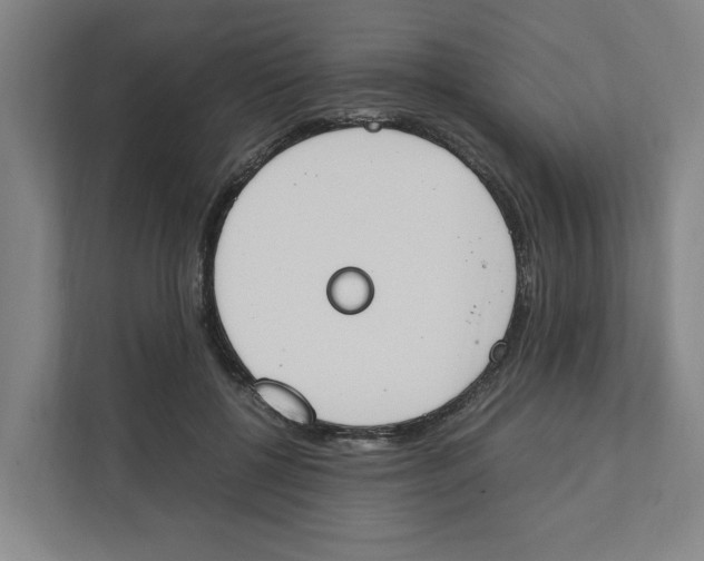 X0000111450552200908101037