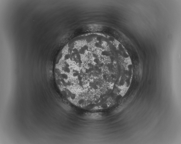 X0000111450553200908101037
