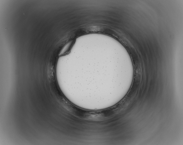 X0000111450555200908101037