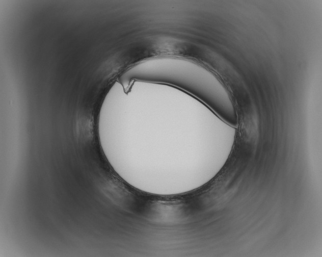 X0000111450556200908101037