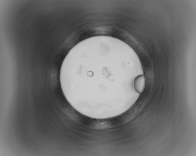X0000111450557200908101037