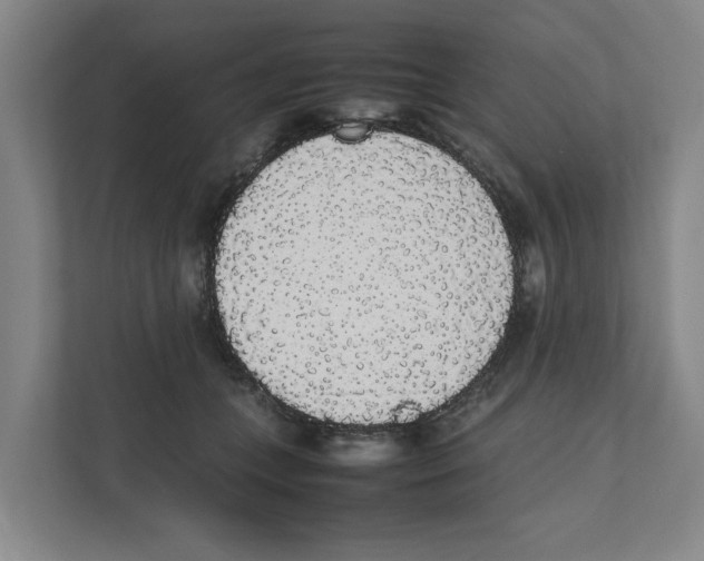 X0000111450559200908101037