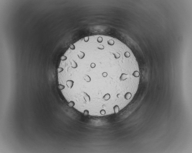 X0000111450561200908101037