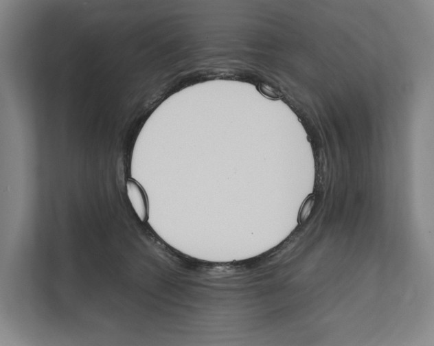 X0000111450562200908101037