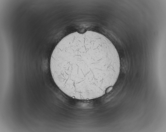 X0000111450563200908101037