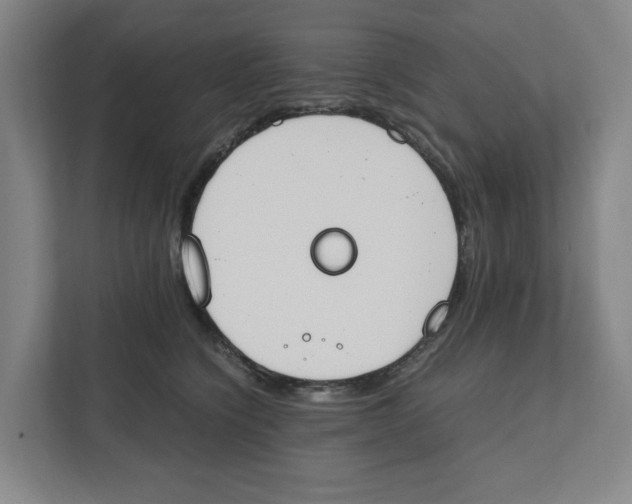 X0000111450564200908101037
