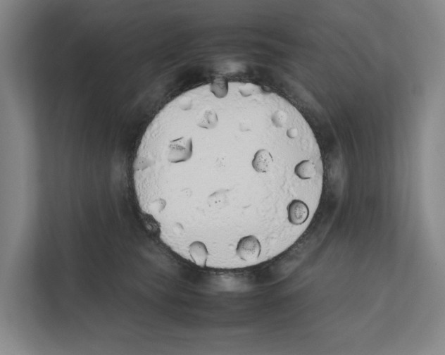 X0000111450565200908101037