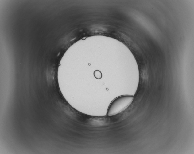 X0000111450567200908101037