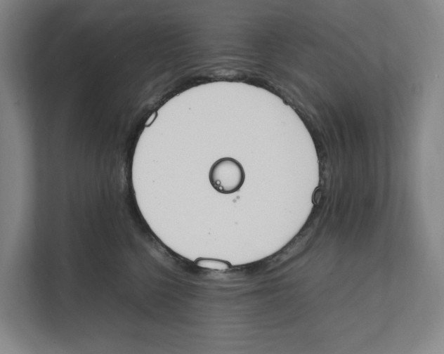 X0000111450568200908101037