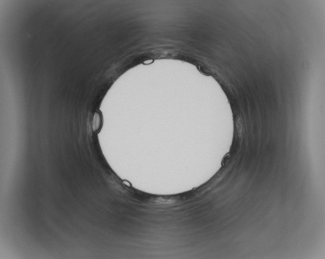 X0000111450570200908101037