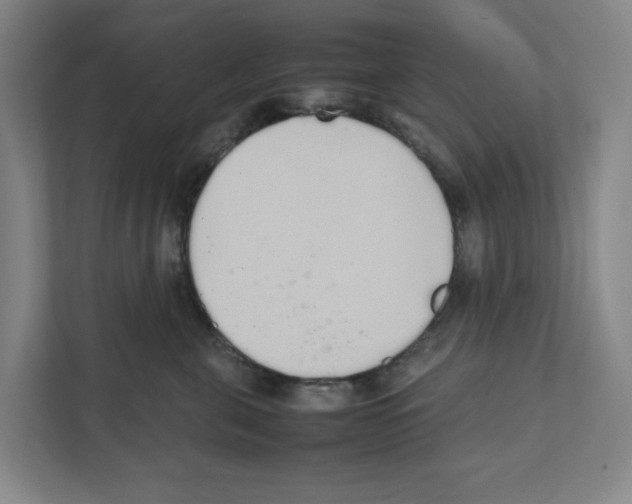 X0000111450571200908101037