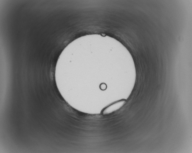 X0000111450576200908101037