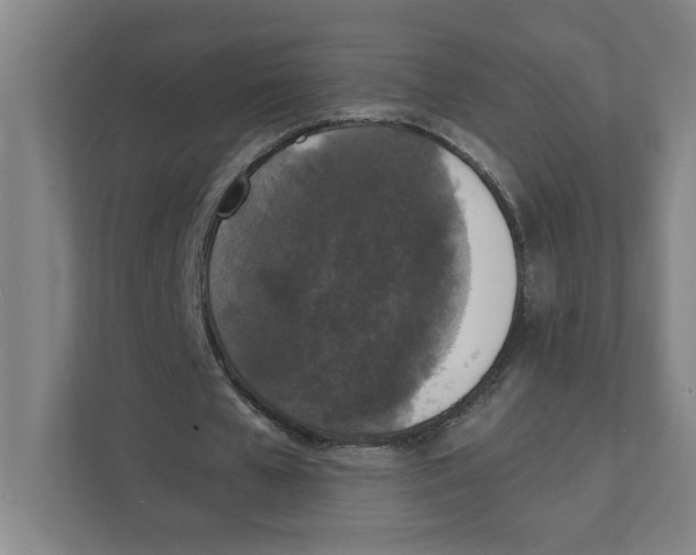 X0000111450577200908101036