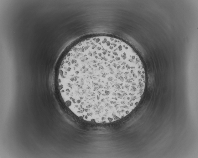 X0000111450580200908101036