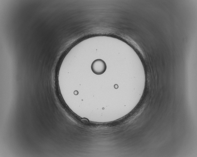 X0000111450581200908101036